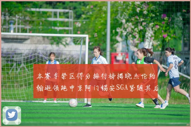 本赛季禁区得分排行榜揭晓杰伦约翰逊领跑申京阿门锡安SGA紧随其后