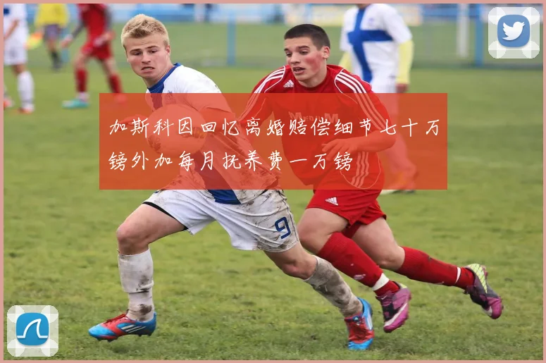 加斯科因回忆离婚赔偿细节七十万镑外加每月抚养费一万镑