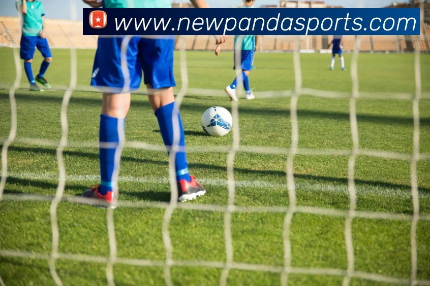 熊猫体育品牌故事